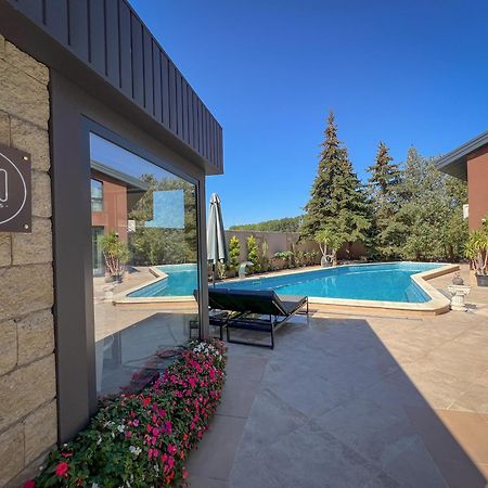 Pino - Villa, Casa, Cucina Е Terrazza Albena Zewnętrze zdjęcie