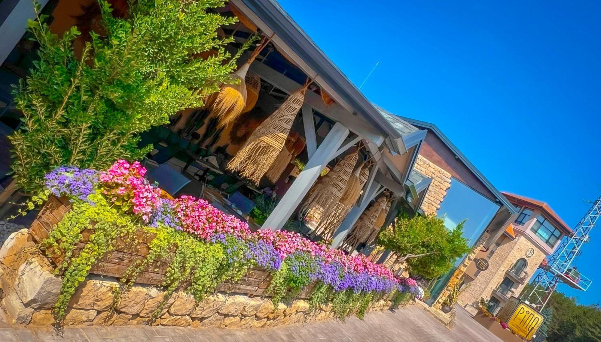 Pino - Villa, Casa, Cucina Е Terrazza Albena Zewnętrze zdjęcie